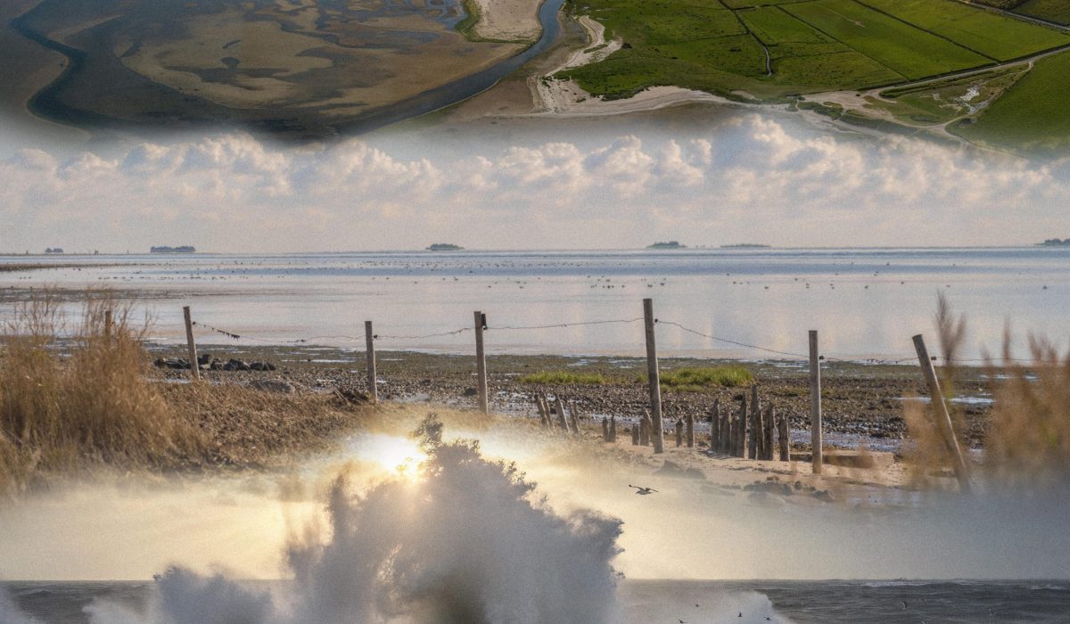 Bild_Collage_Föhr_Film